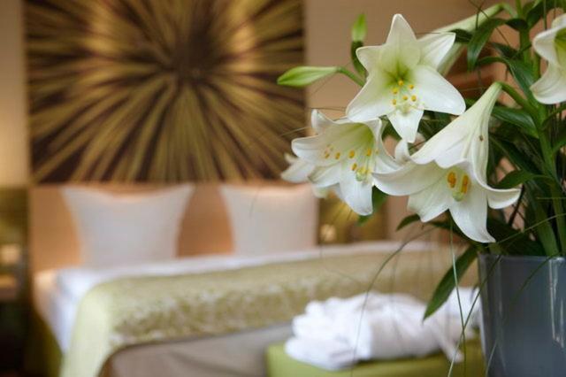 Logis Hotel Kur- Und Wellnesshaus Spree Balance 부르크 객실 사진