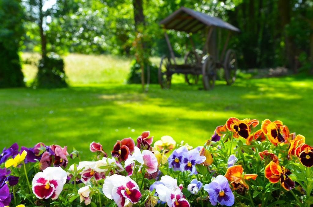 Logis Hotel Kur- Und Wellnesshaus Spree Balance 부르크 외부 사진