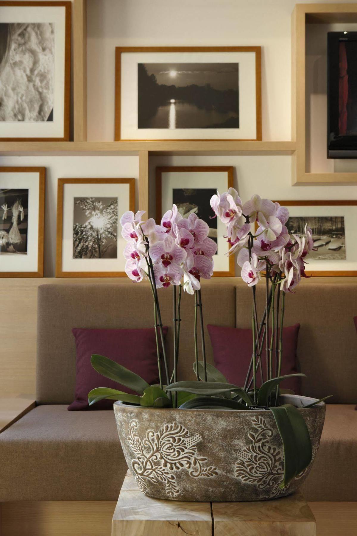 Logis Hotel Kur- Und Wellnesshaus Spree Balance 부르크 외부 사진